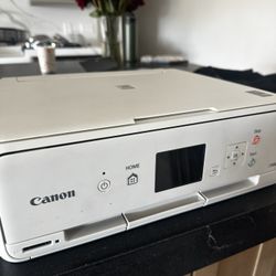 Canon TS5020 Printer 