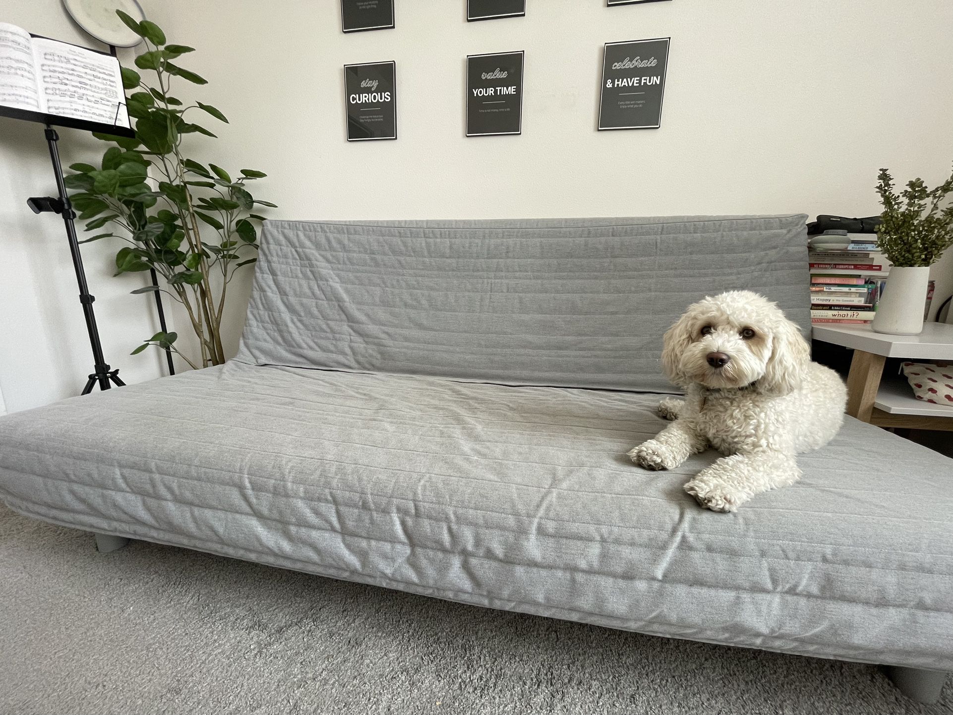 IKEA Convertible Futon with Washable Cover – Turns into Queen Bed
