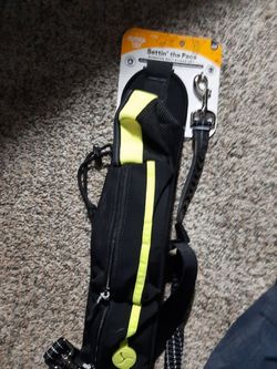 Personal bagdogwalker