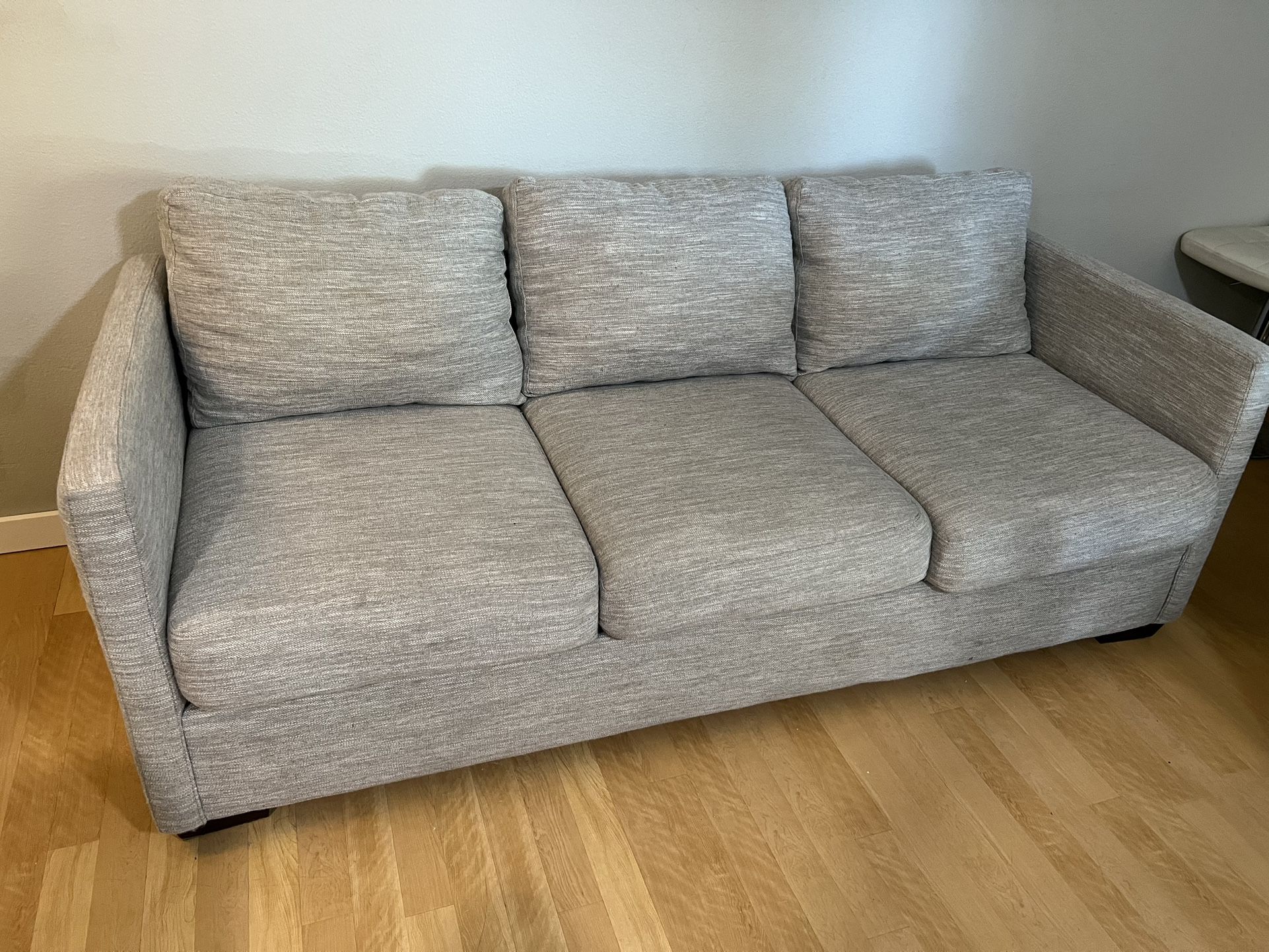 Light Grey Couch