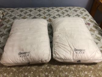 Almohadas de plumas de Ohca / Ocha fearher  Pilows