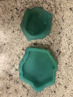 2 Reptile Dishes