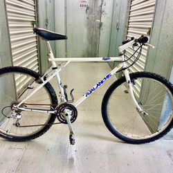 GT Mountain Bike 