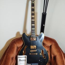 Ibanez JSM20-BLK John Scofield Signature Semi-Hollow HH Gold Hardware Electric Guitar - Black