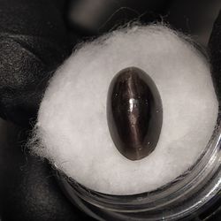Natural Black Cats Eye Cabochon Gemstone in Display 