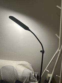 Moving Sale - Floor lamp