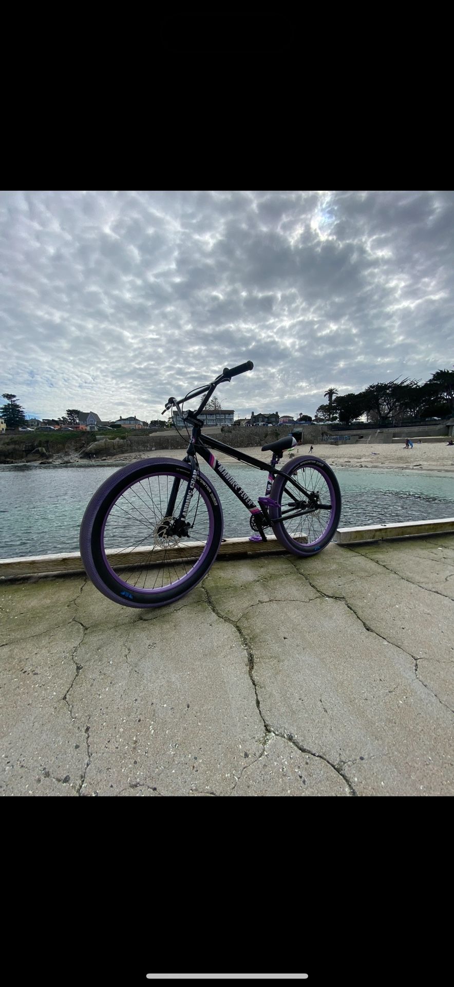 Black /purple Se Bikes Maniac Flyer