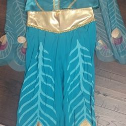 Disney Aladdin Princess Jasmine Costume 
