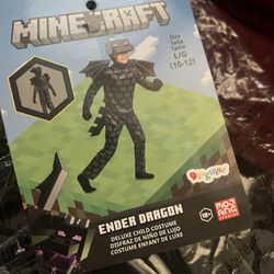 Minecraft Costume