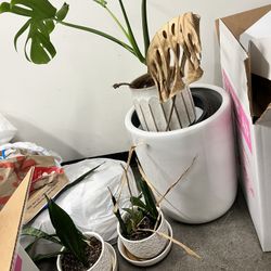 Fiberglass Pots / Good/ New $40 For All