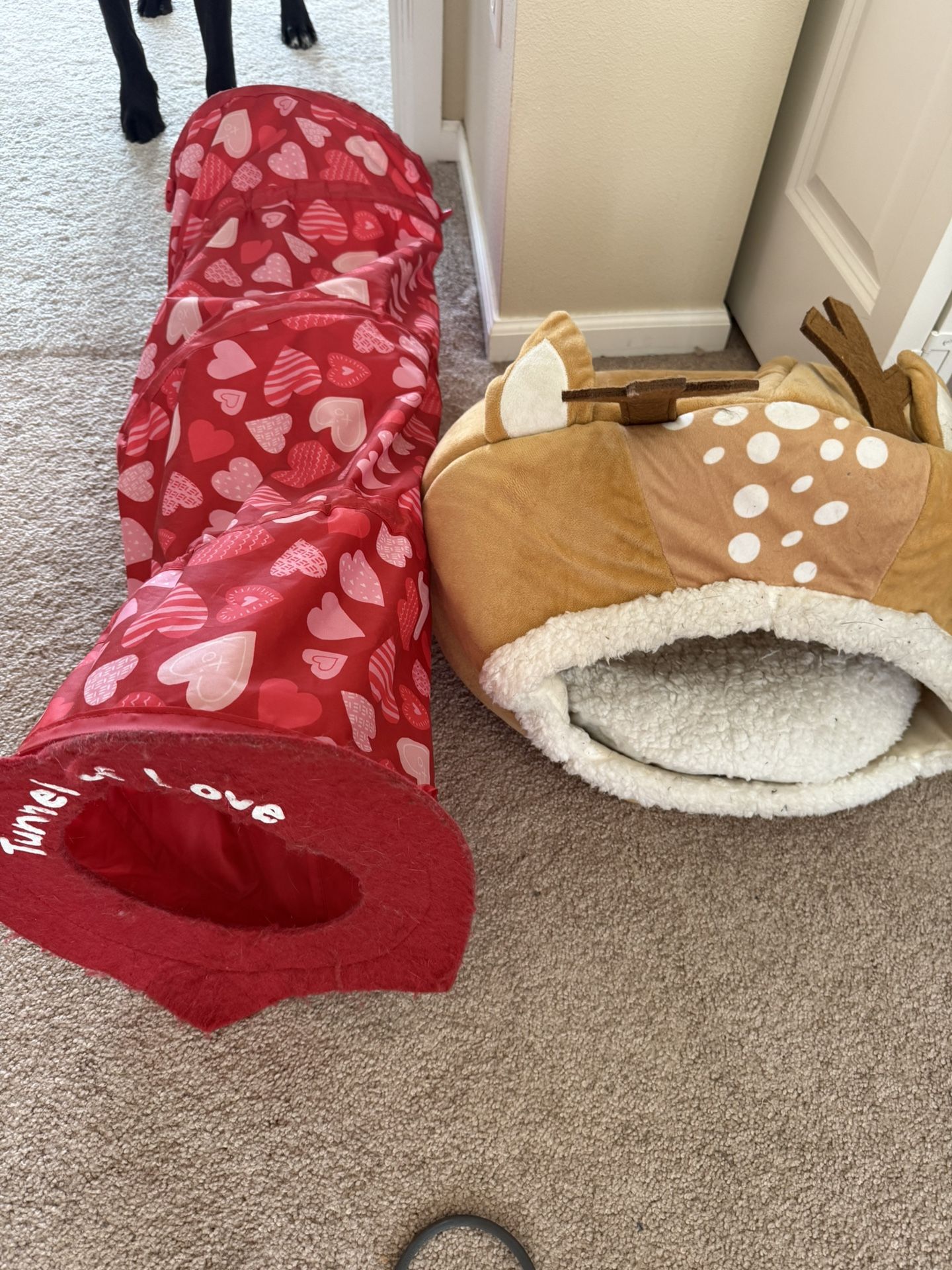 Cat Kitten House And Tunnel