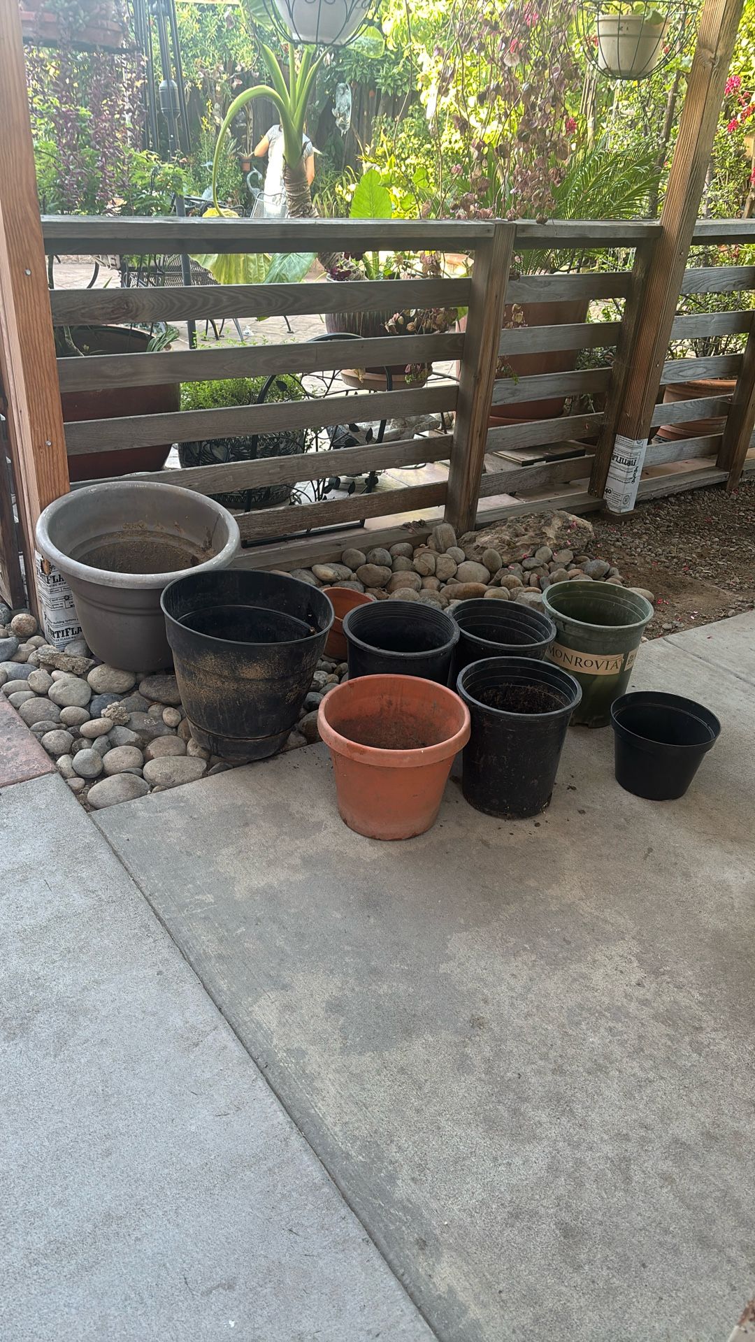 Flower Pots