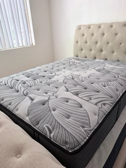 Queen slay bed
