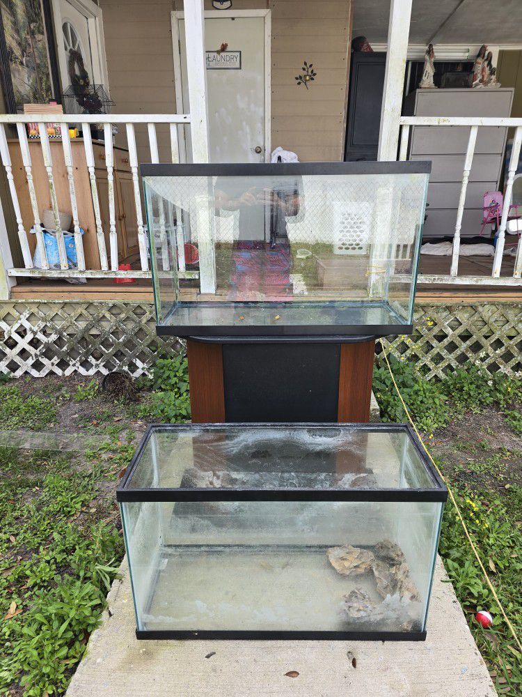 2 30 Gallon Fish Tanks With Stand