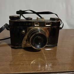 Vintage Camera Statute 