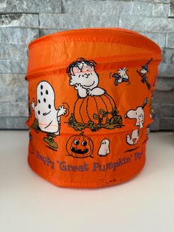 Hallmark little kid trick or treat basket