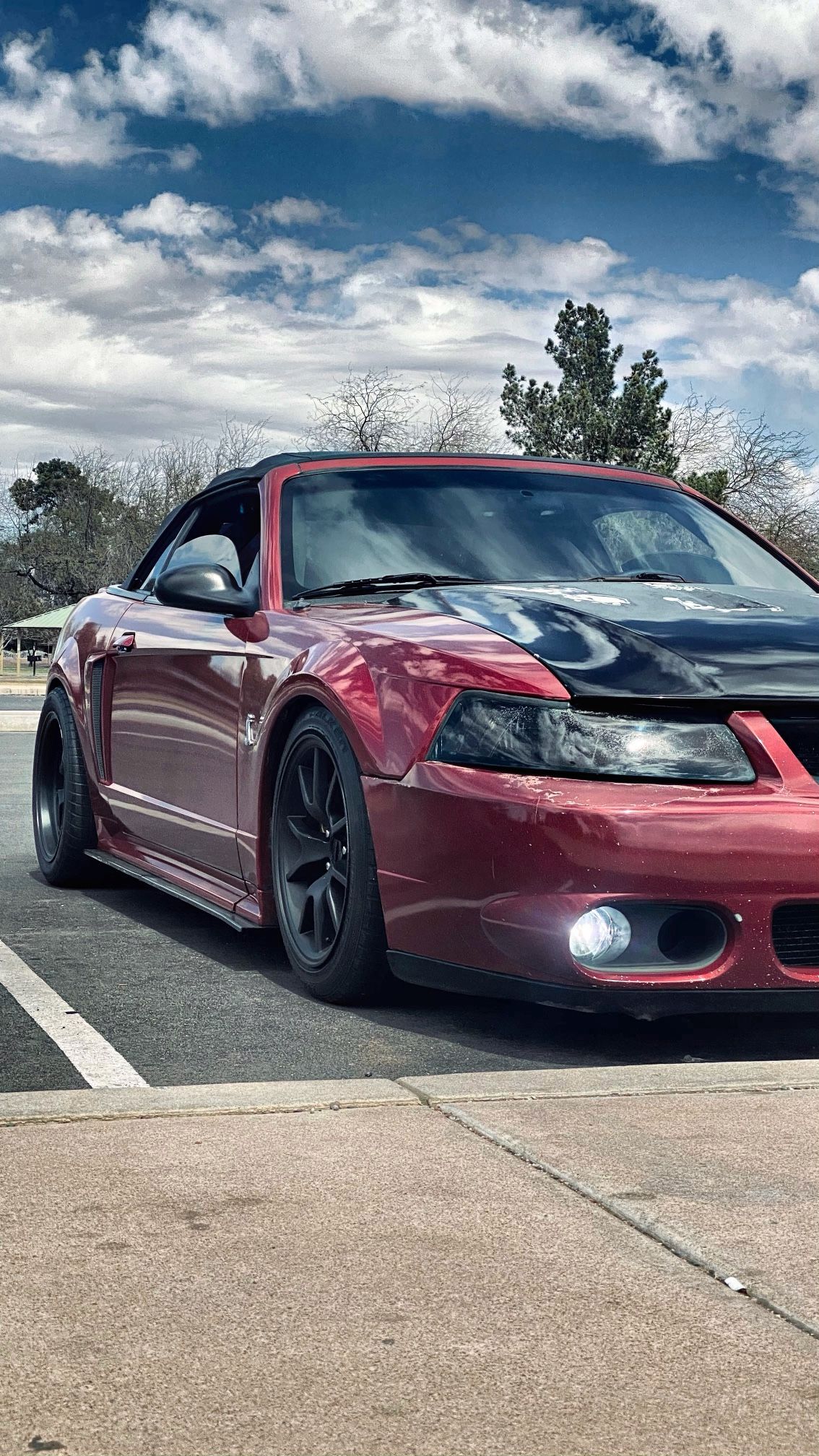 Fr500 Mustang Wheels