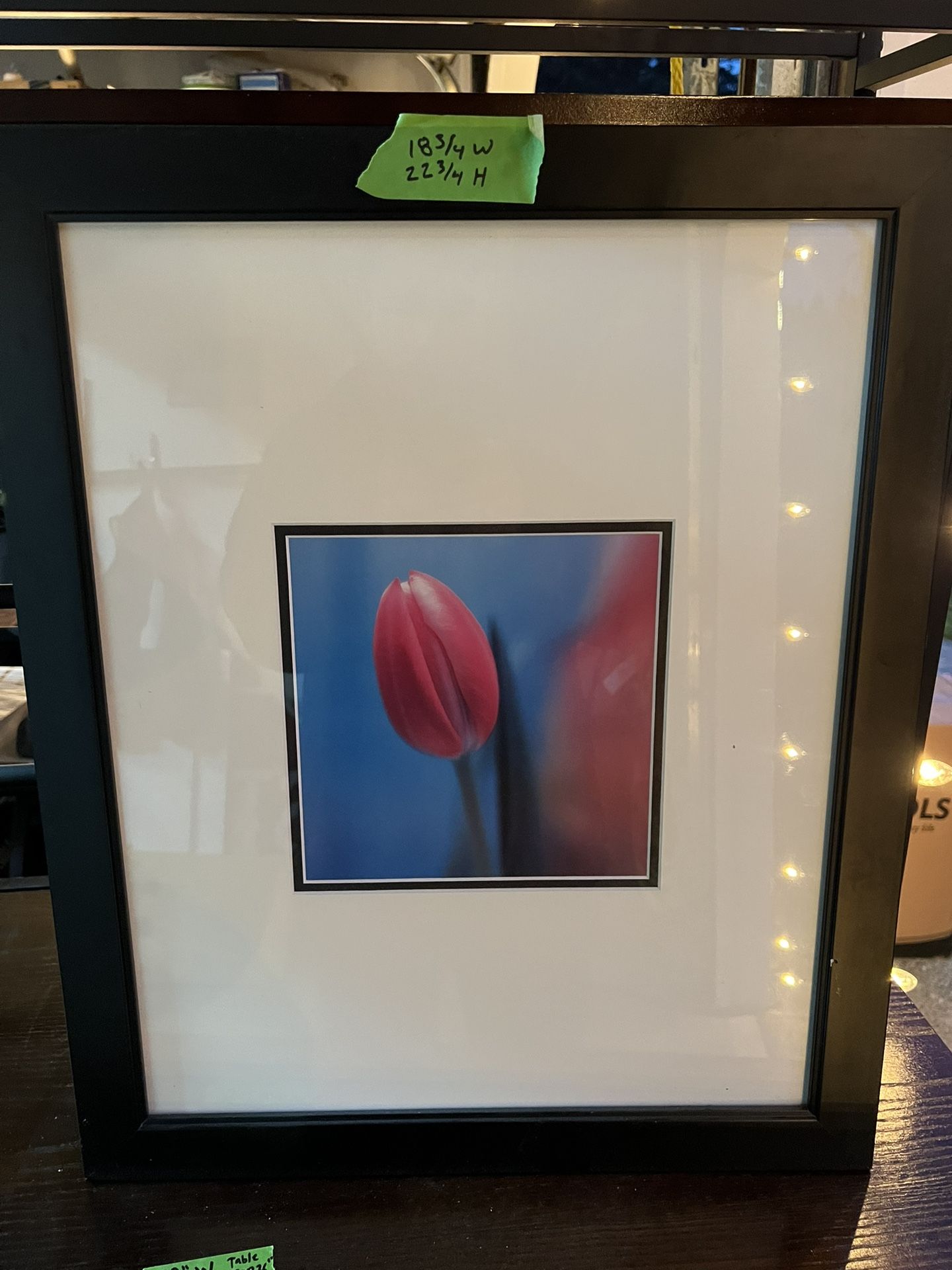 Floral Pictures