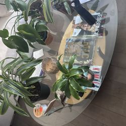 Glass Table 