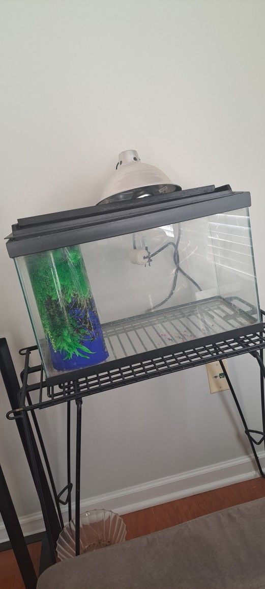 Terrarium Stand + Light