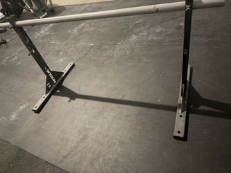 Rogue Pull up bar
