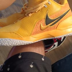 Nike Lebron