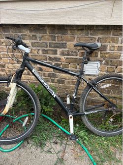 Genesis Bike adult