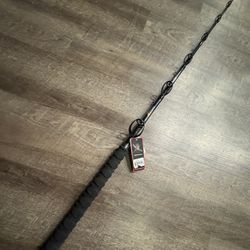 New Phenix Axis 6’8” X 3 60-130 Rail Rod Fishing Salt Water Rod 