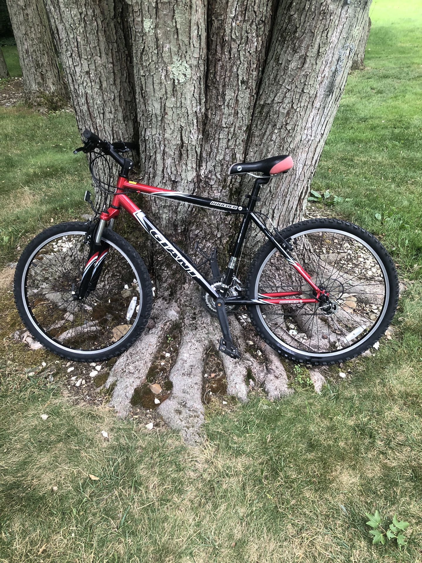 26” Giant Mountain Bike (large Frame)