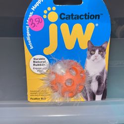 Cat Toy