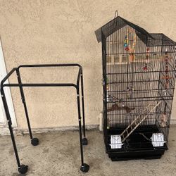 Bird Cage and Accessories 