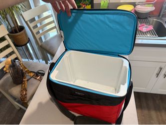 Igloo Soft-Sided Cooler Bag – Insulated Lunch & Picnic Cooler
