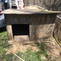 Dog House