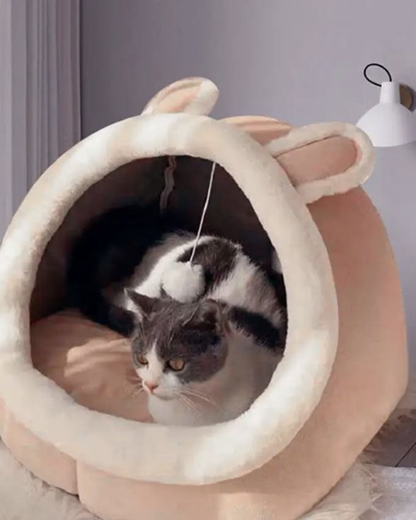 Cat Bed Washable Cave Mat for Small Plush Dogs with Removable Bed for Cat and House