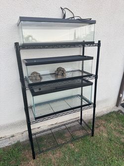 3 Tanks and Stand for Rep