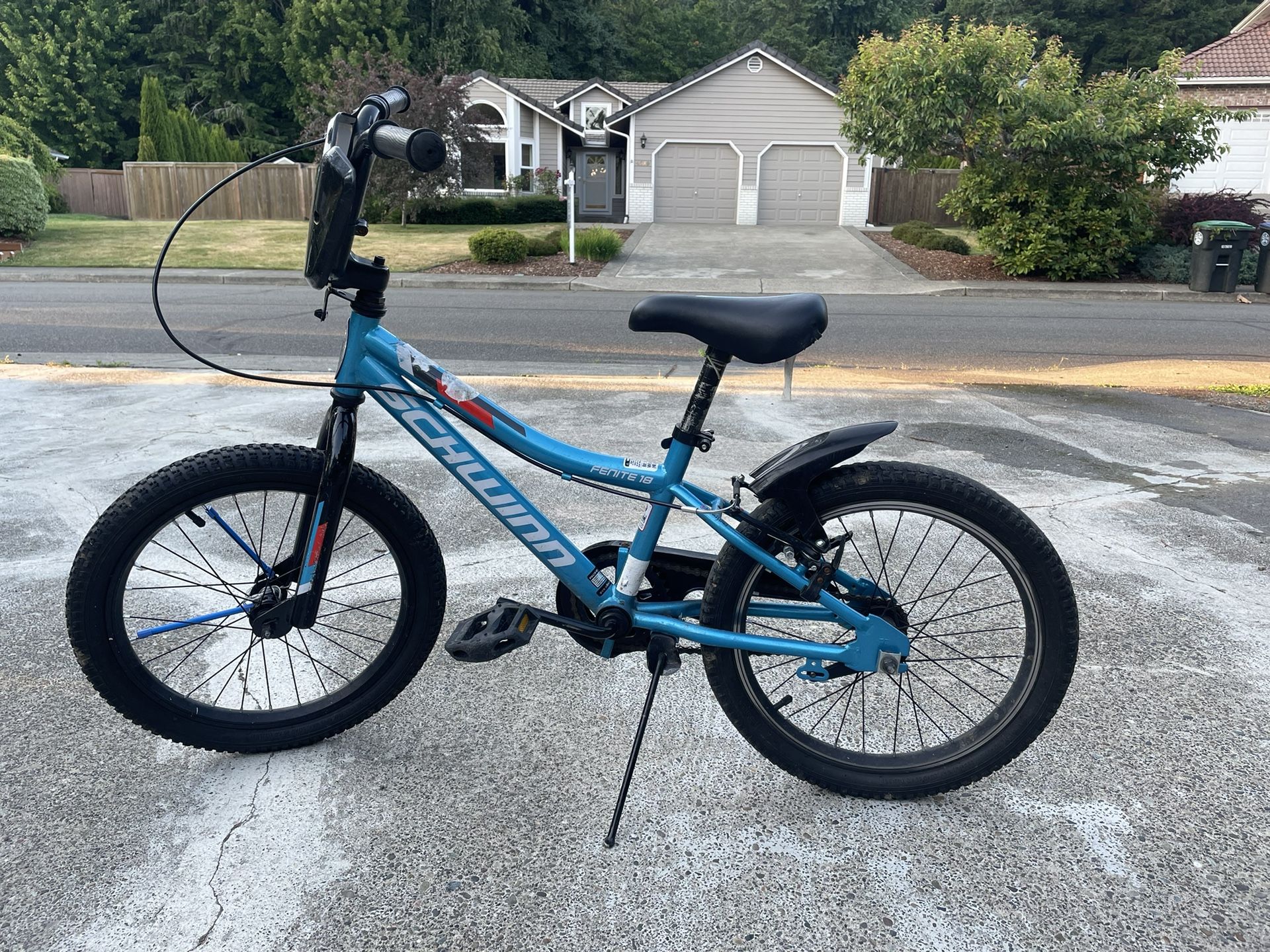 Child’s Bike Schwinn Fenite 18