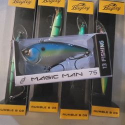 Fishing Lure