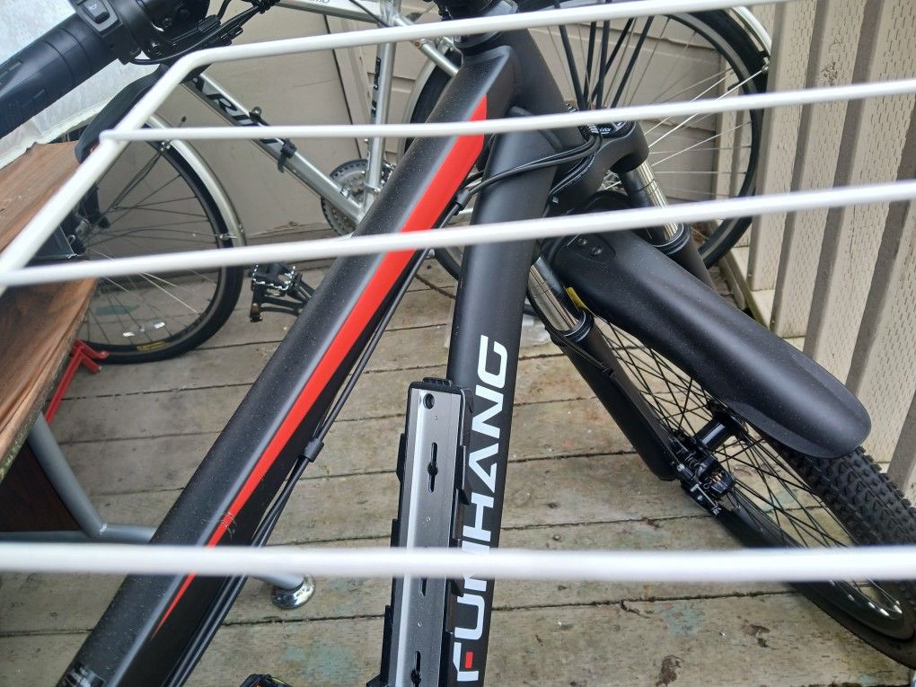 E bike Funhang , Black and Red, Teenagers And Adults