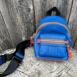 Coach Small Backpack 