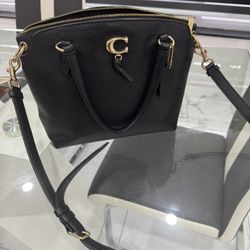Handbag Coach Crossbody