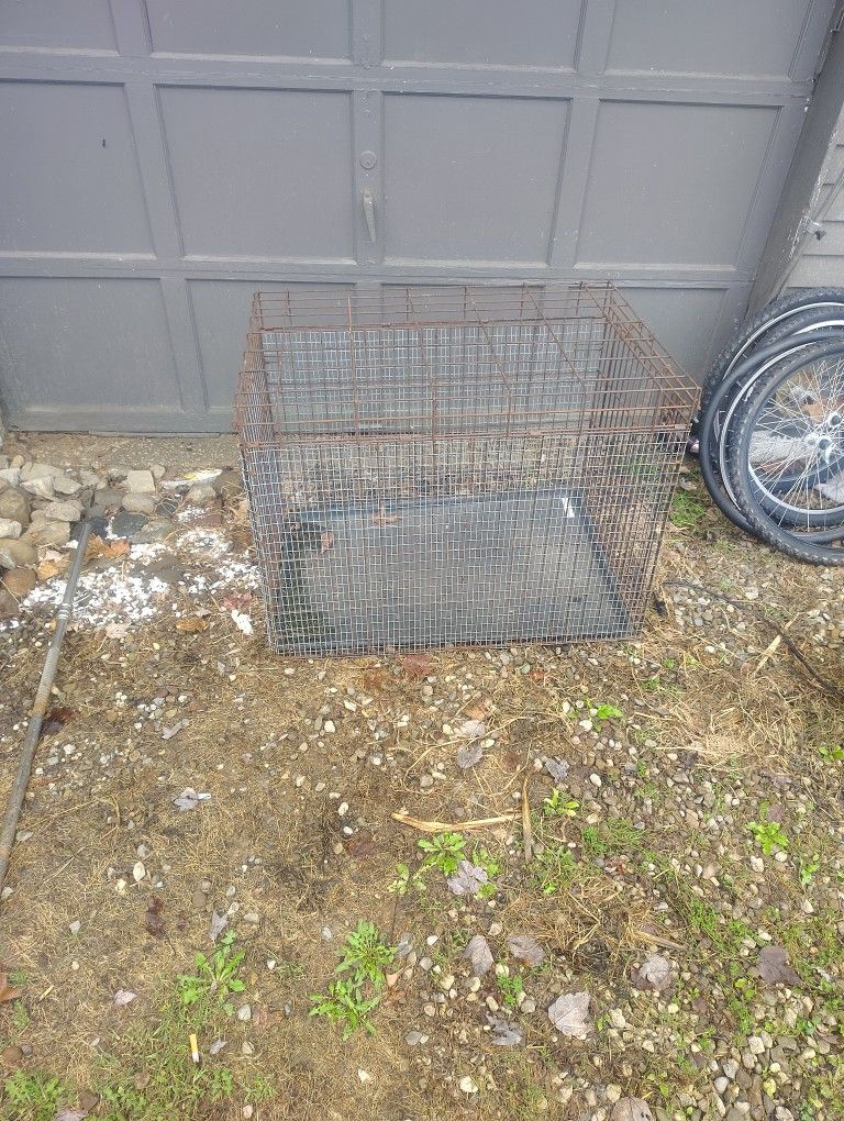 Dog Cage