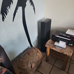 Definitive Technology BP8020st Bipolar Surround Sound Speaker