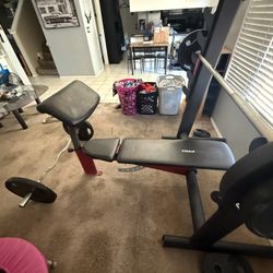 Weight And Weight Bench