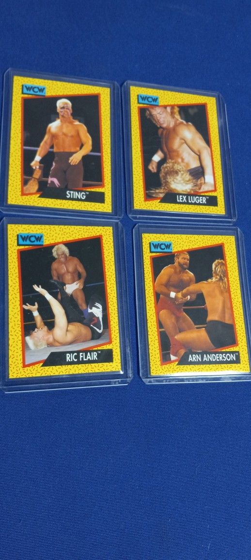 Wcw Legends
