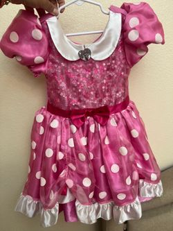 Mini mouse costume
