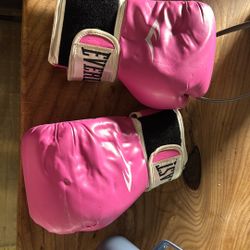 Everlast Boxing Gloves 