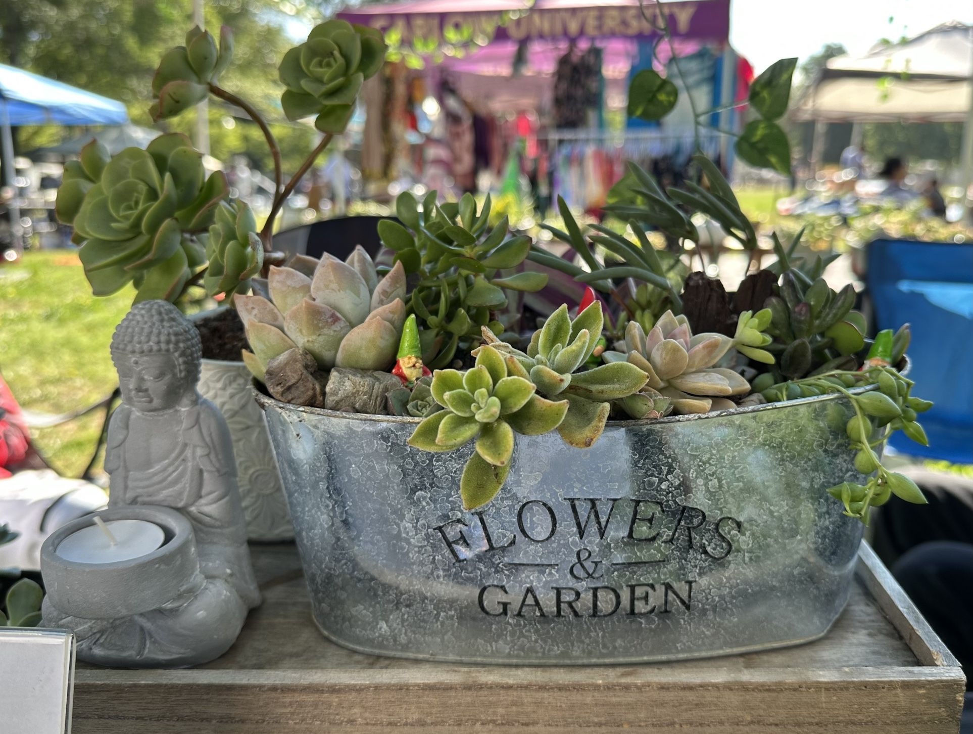 Plants And Candle Holders Available