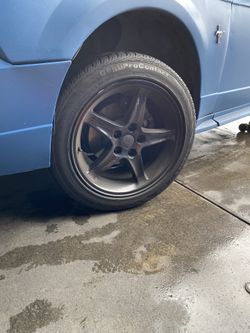 Mustang Tires