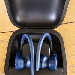 Beats Powerbeats Pro Earbuds Blue