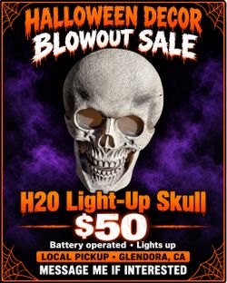 H20 — Large Battery-Operated Light-Up Skull — $50